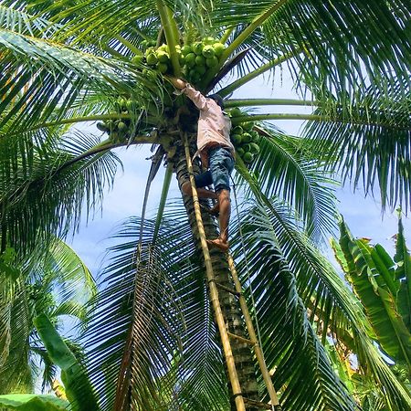 Вилла Coco Happy Farm Ben Tre Экстерьер фото